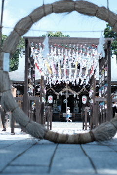 夏の想い出