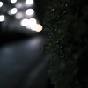 夜の雨