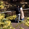 デート♡