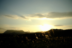 ここからの夕日が見たくて
