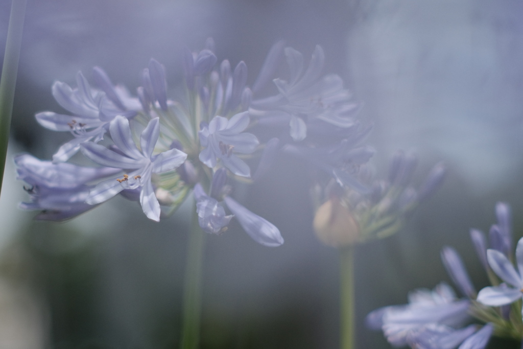 Into something blue
