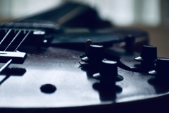 Gibson 335  Ⅱ