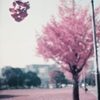 Red-purple