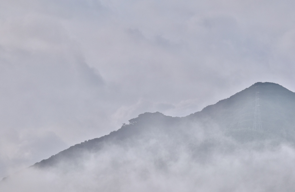 梅雨の朝