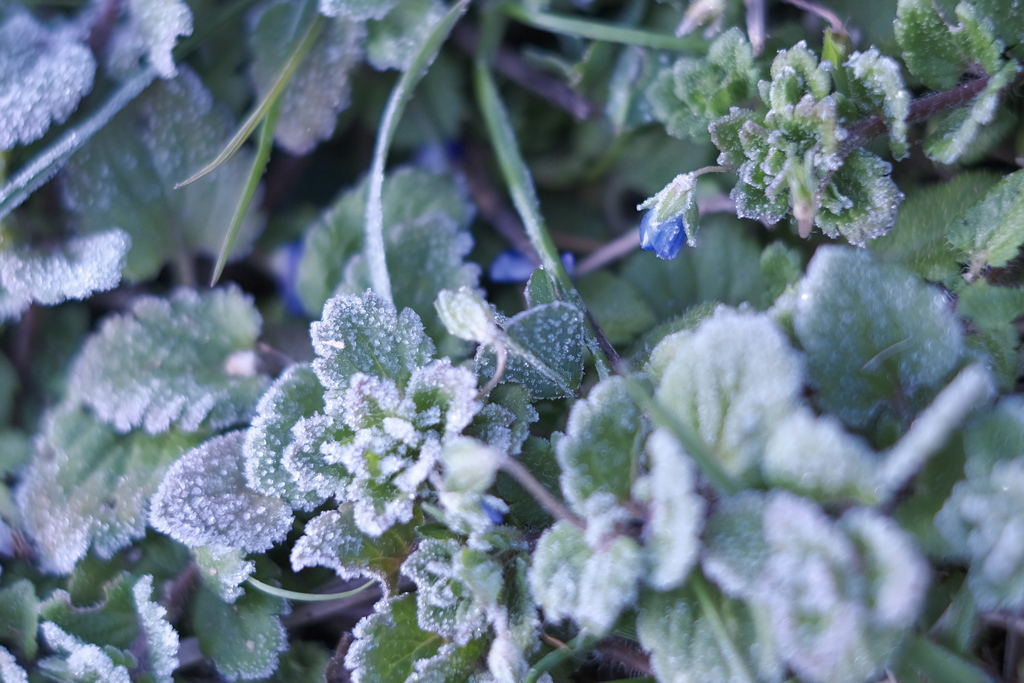 太陽を待ってる