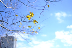 12月の空