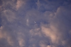 今朝の空