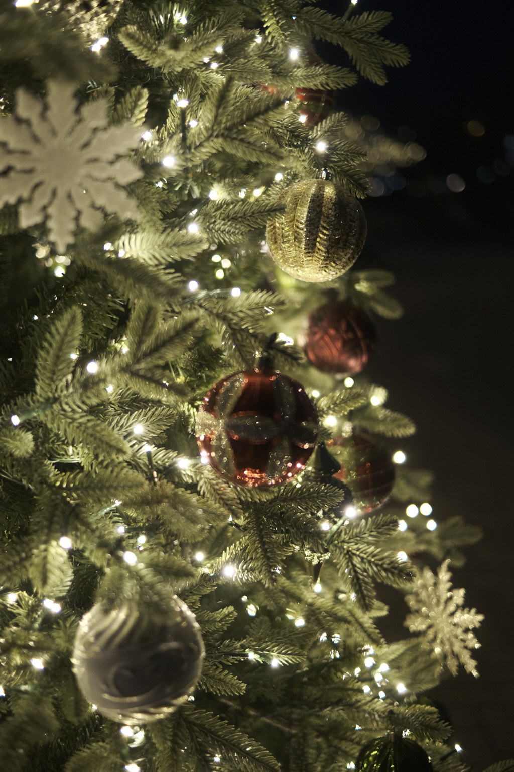 Silent Night