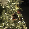 Silent Night