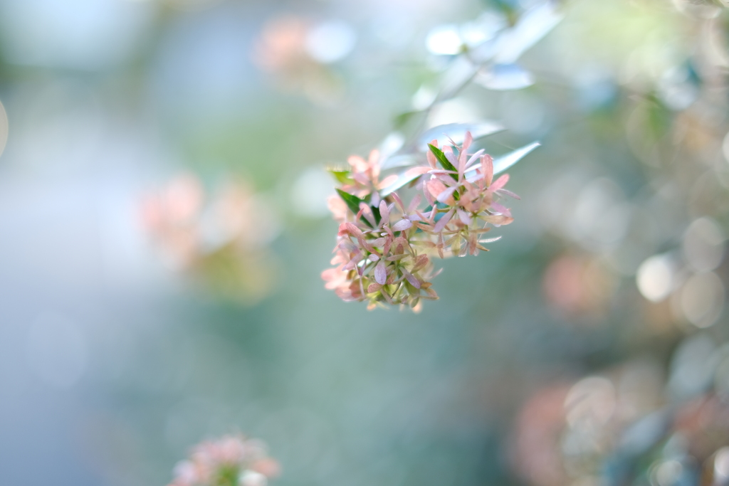 pastel colors