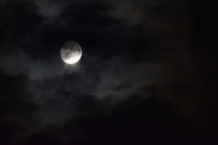 十三夜