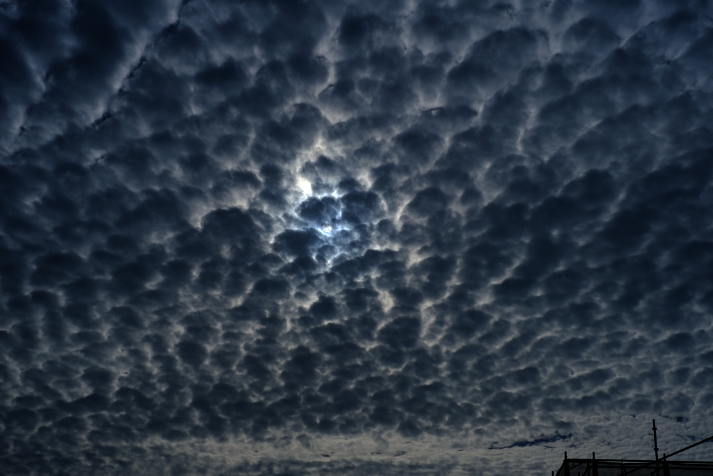 今朝の空