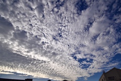 今朝の空