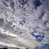 今朝の空