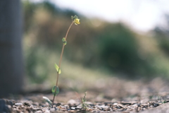 ぽつんと・・
