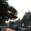 帰り道は君と一緒**