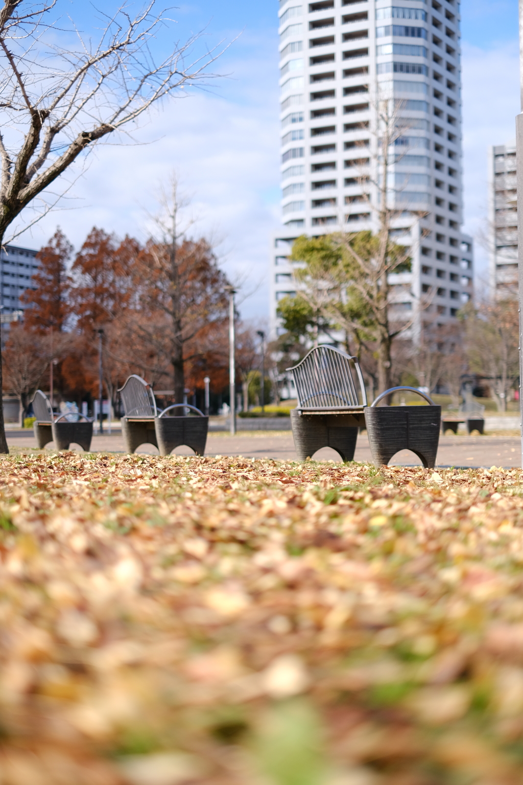 冬の公園