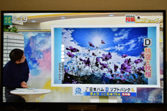 嬉しい出来事(//∇//)