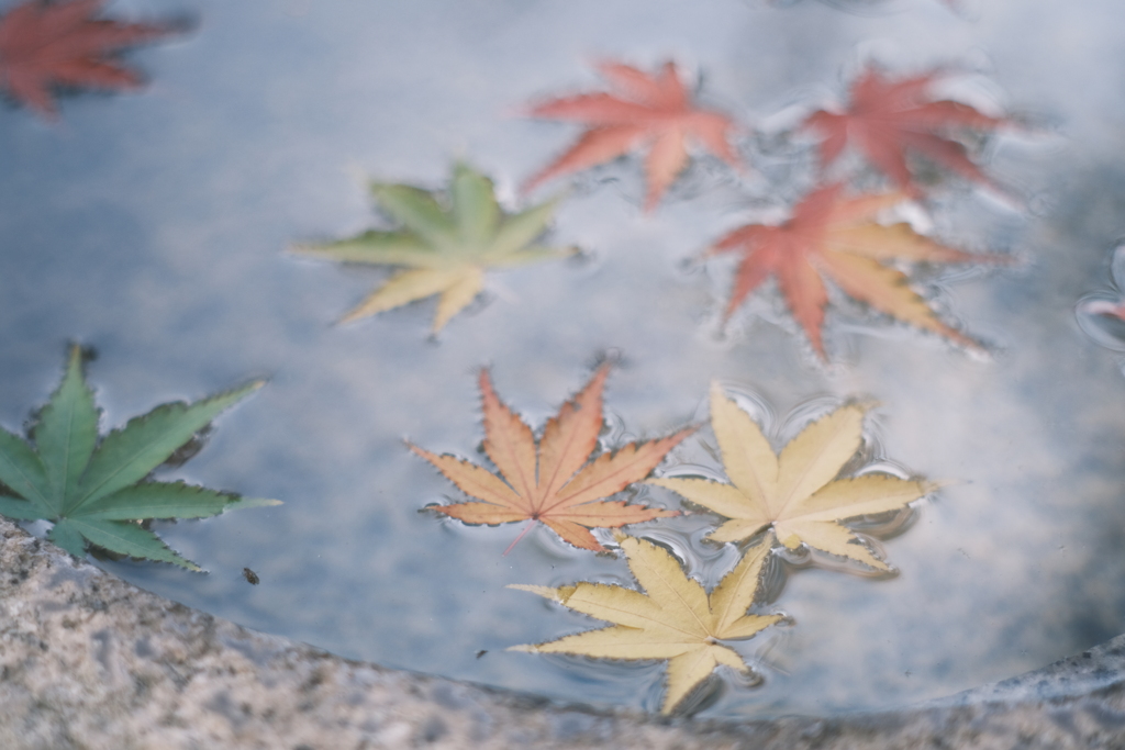 あお あか きいろ