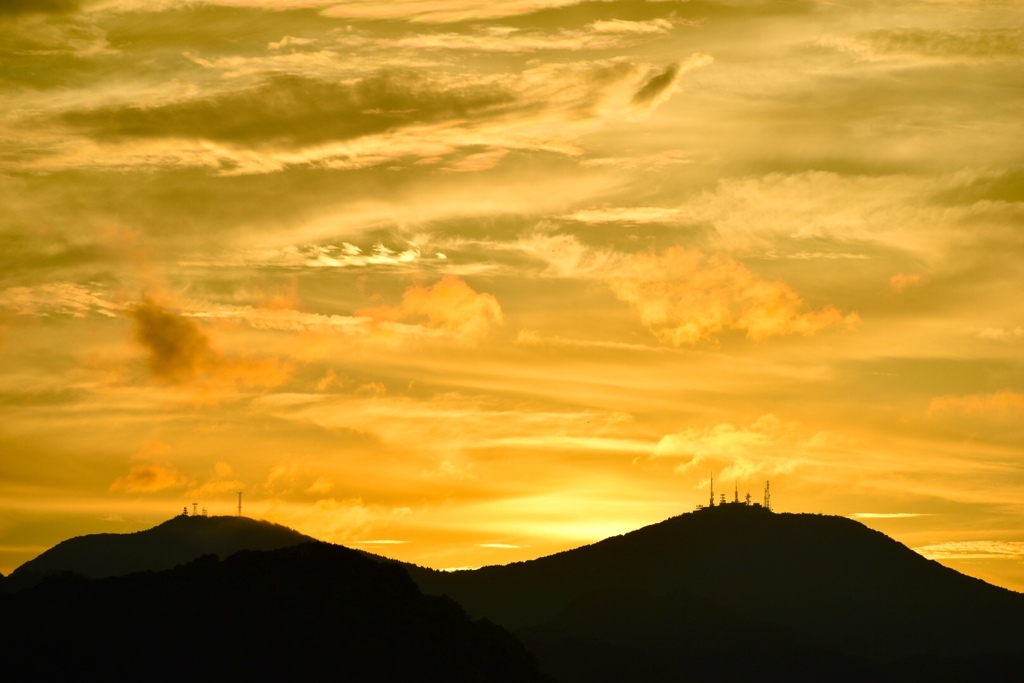 黄金色の夕暮れ