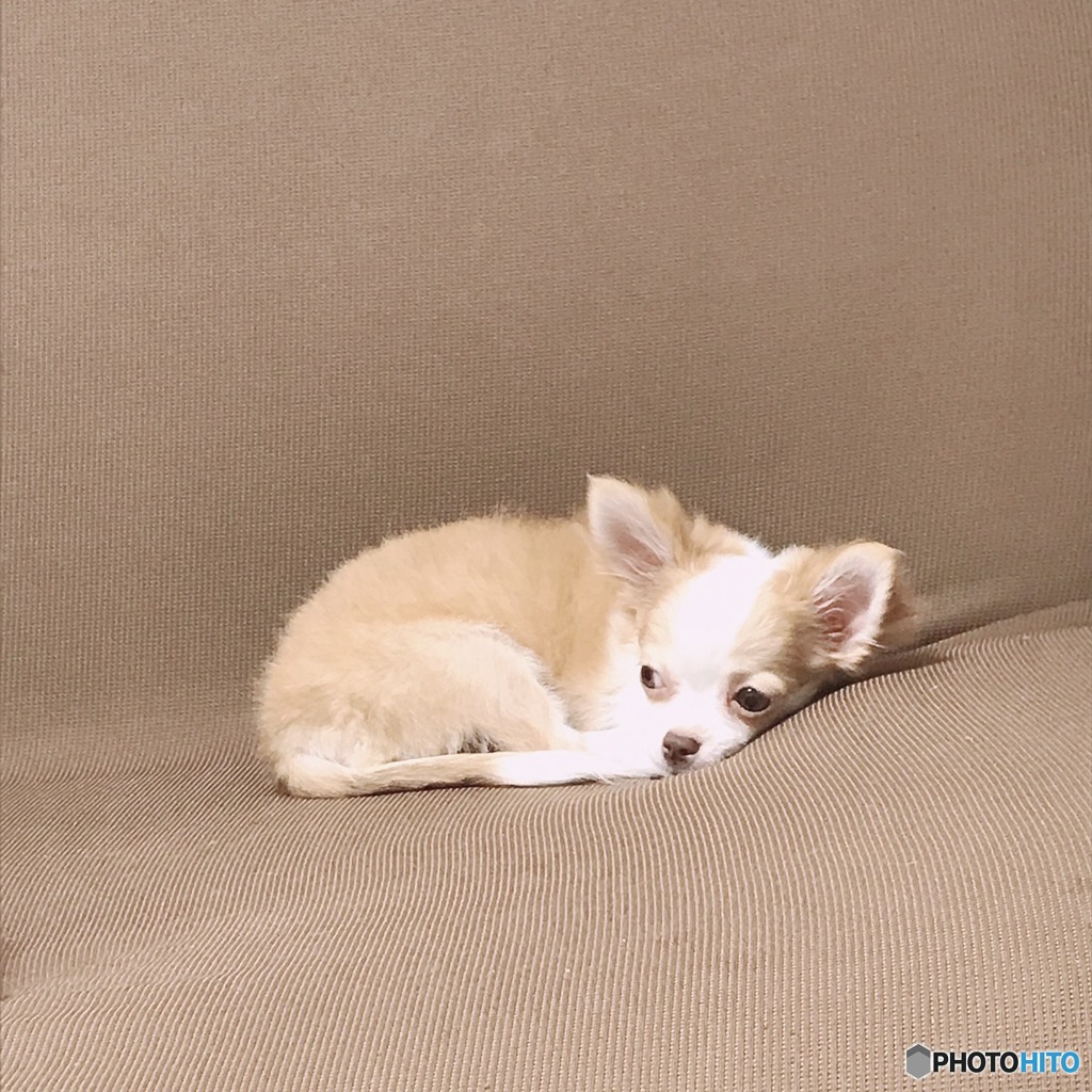砂漠ってこんなとこ