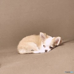 砂漠ってこんなとこ