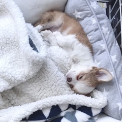 お疲れさま