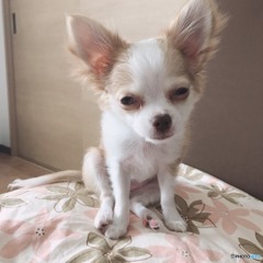 のみすぎちゃった