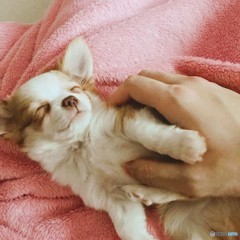 今　何時？