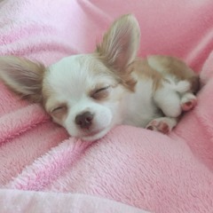 おいちぃい