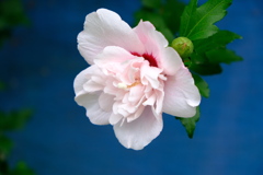 9FBD69A5-5305-44B8-95FB-342E73A45AA7
