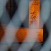 単焦点縛り18