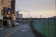 単焦点縛り9