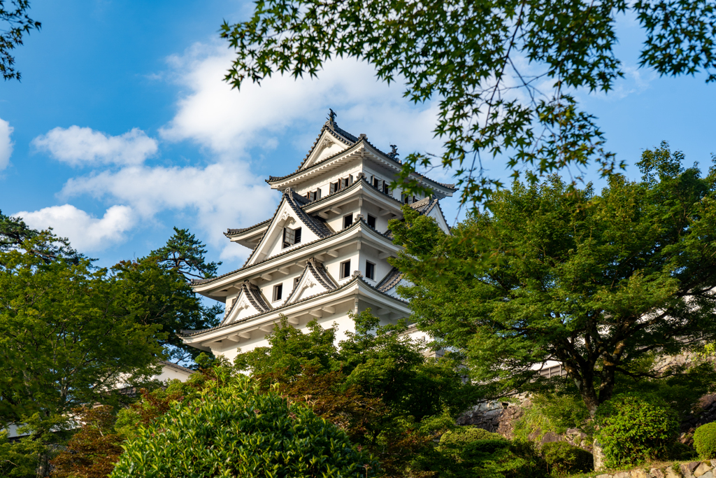 郡上八幡城