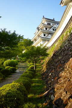 郡上八幡城