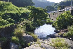 田舎の川