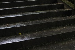 雨上がりの階段