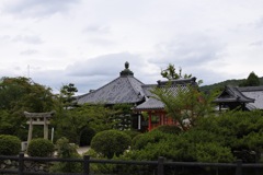 神社遠景