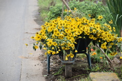 花束