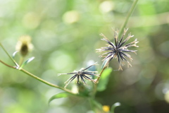 ちょっと厄介なやつ