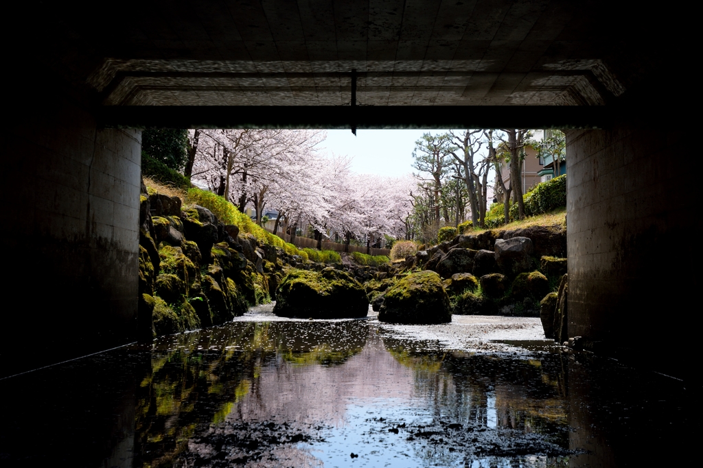 トンネルを抜けると...