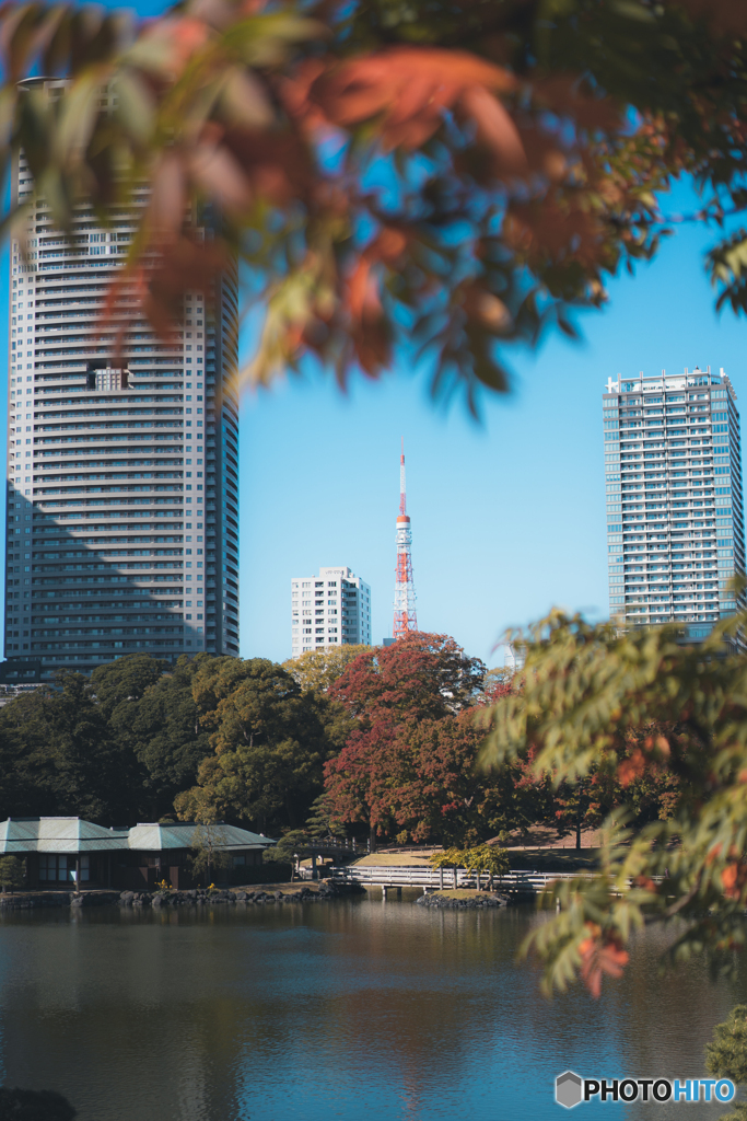 浜離宮恩賜庭園