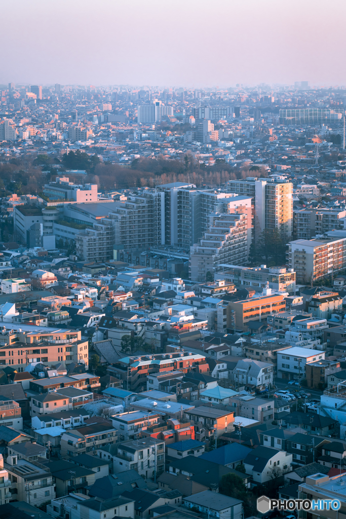DSC04918