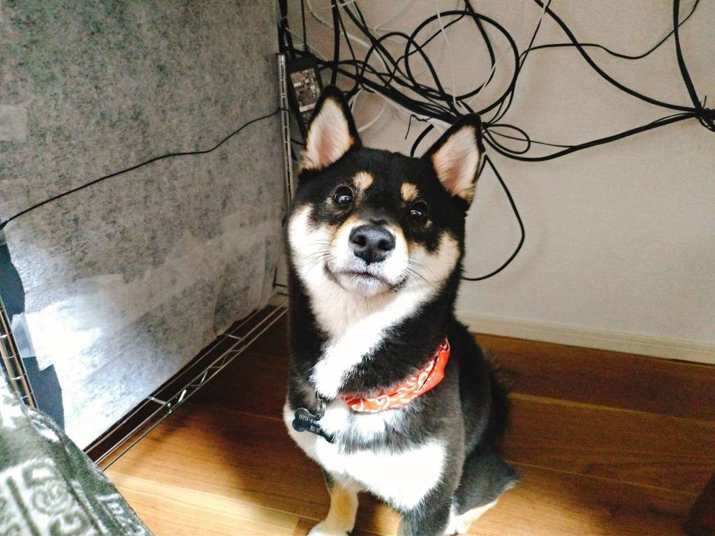 まちまち