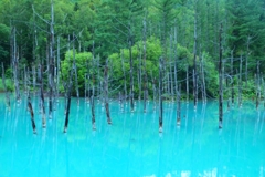 青い池