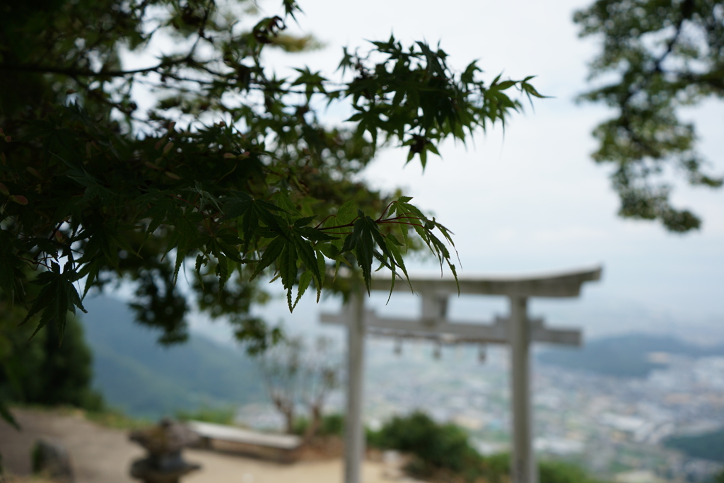 天空の鳥居