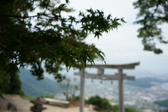 天空の鳥居