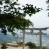 天空の鳥居