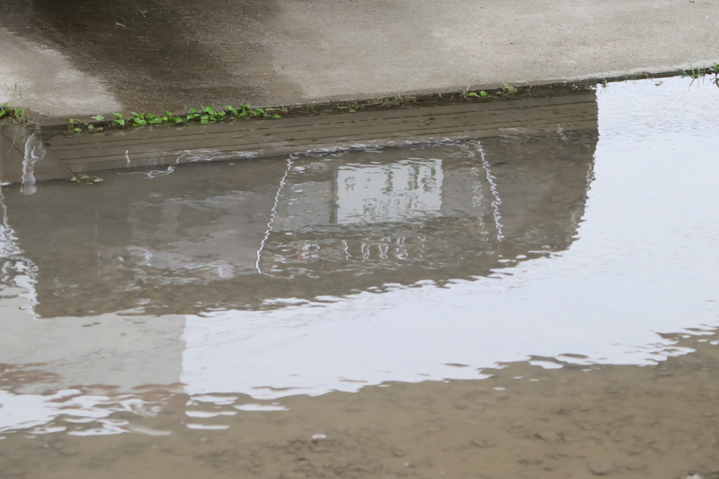 水溜り