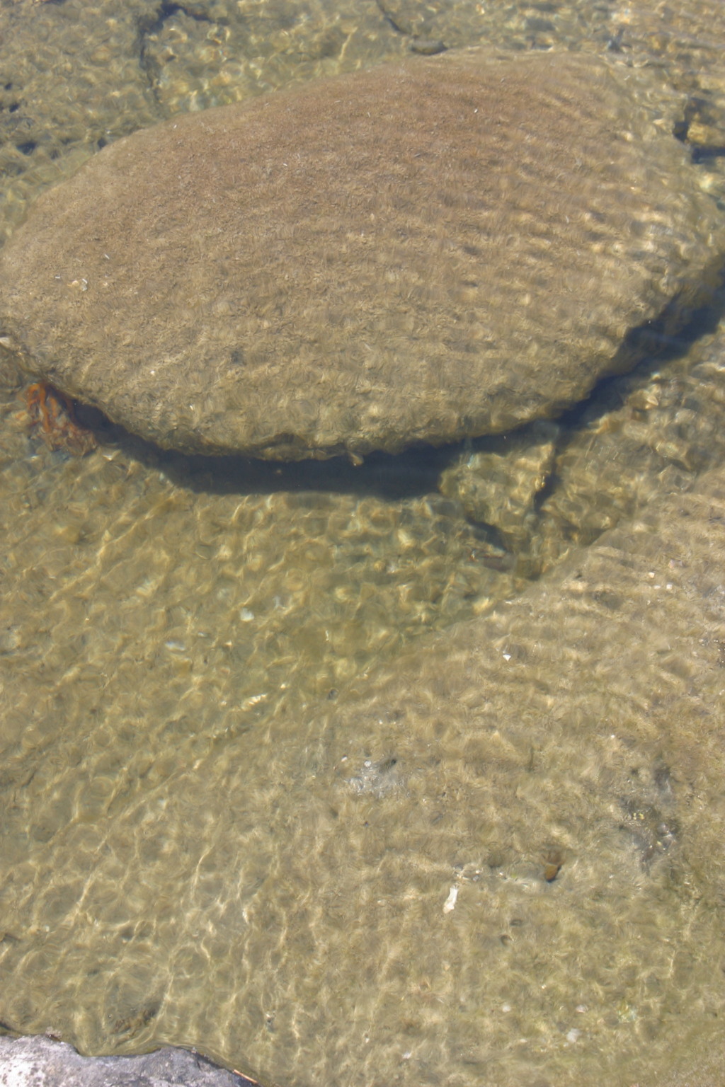 三浦海岸